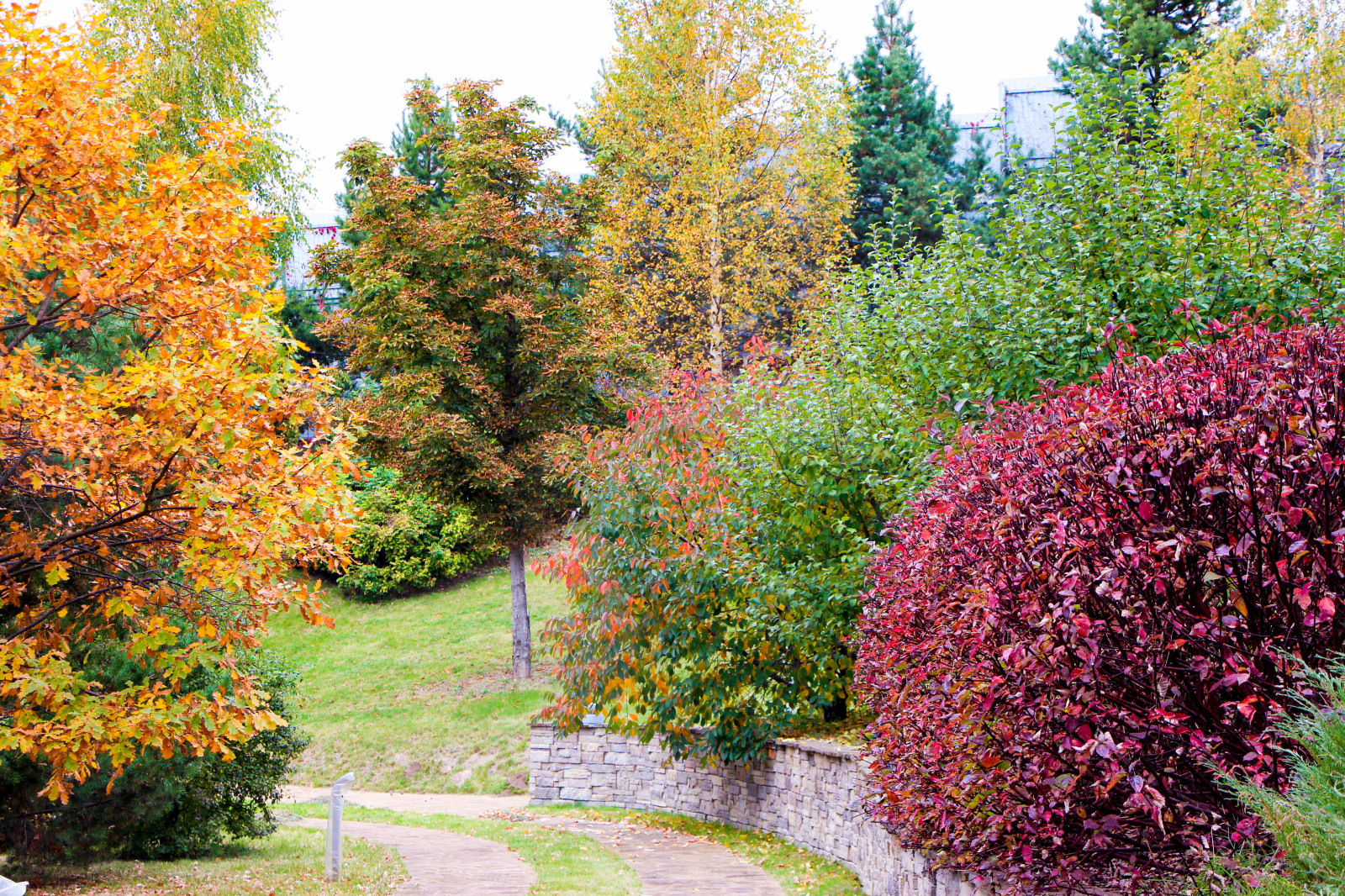 Лобаново, 2012-2021 гг.