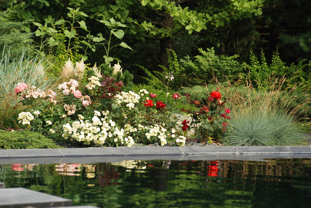 Променад. Киевское шоссе.