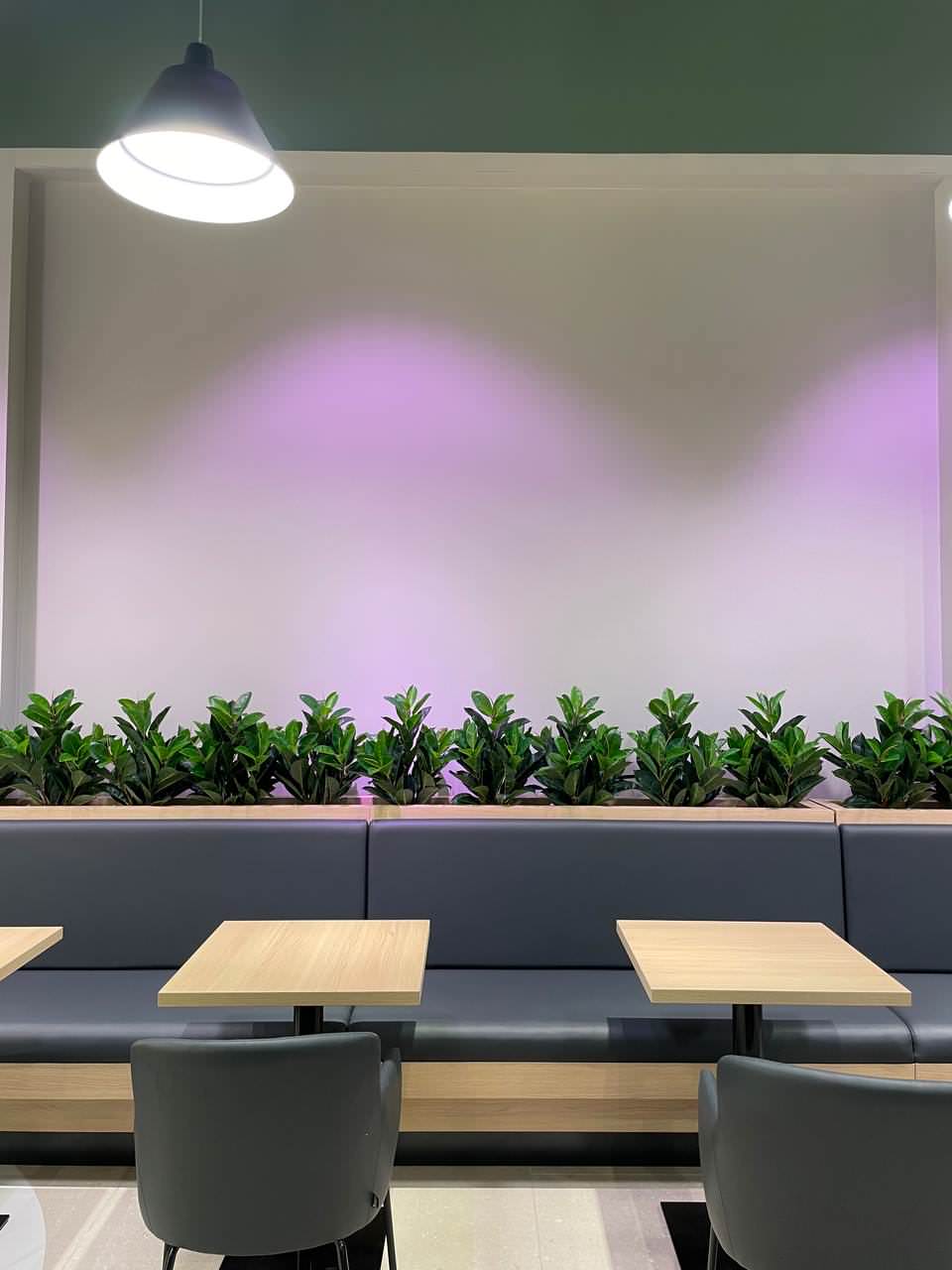 Обложка проекта: Фудкорт г.Санкт-Петербург