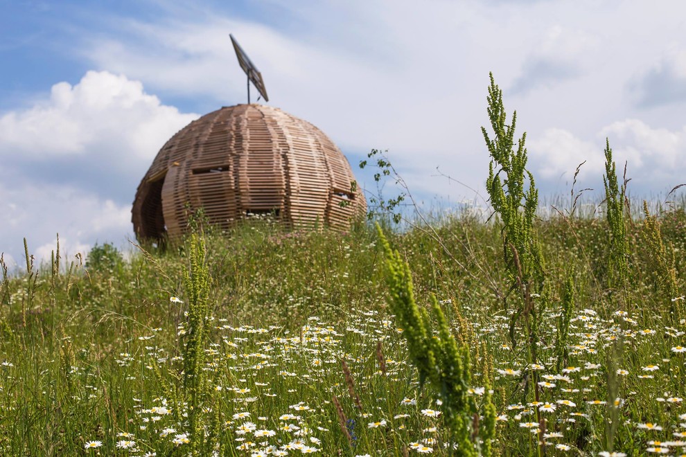 Портрет: Гостиница-теплица и архитектурные «чудеса» парка «Ясно Поле»