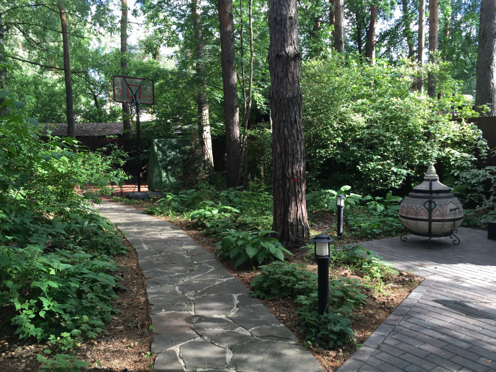 Обложка проекта: Белкин сад. Лето 2019