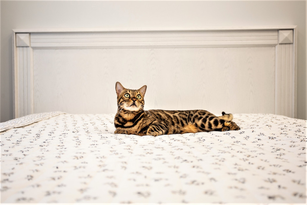 3-х к.кв. по ул. Ясененвая, г. Москва