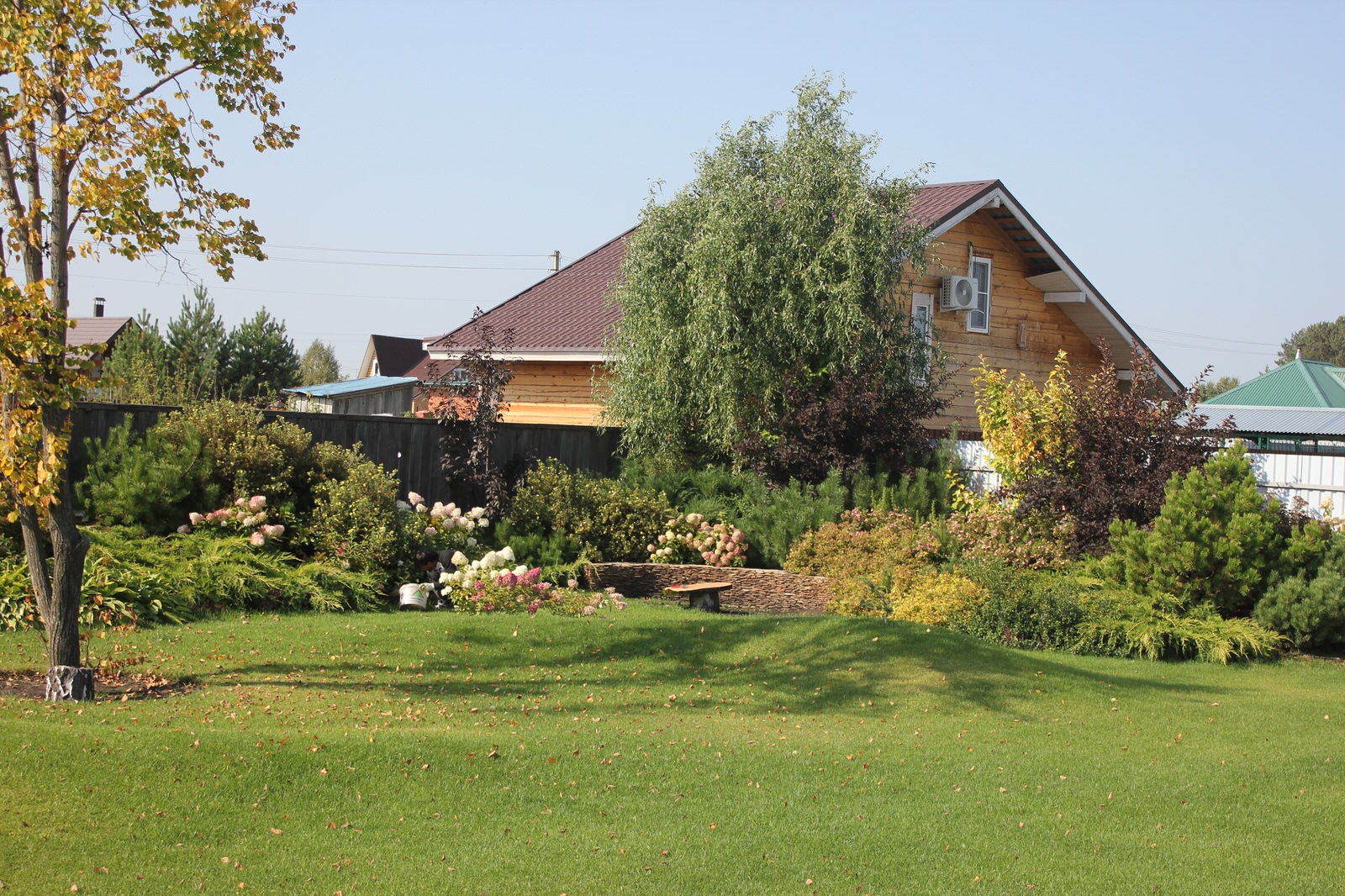 В гостях у Сказки