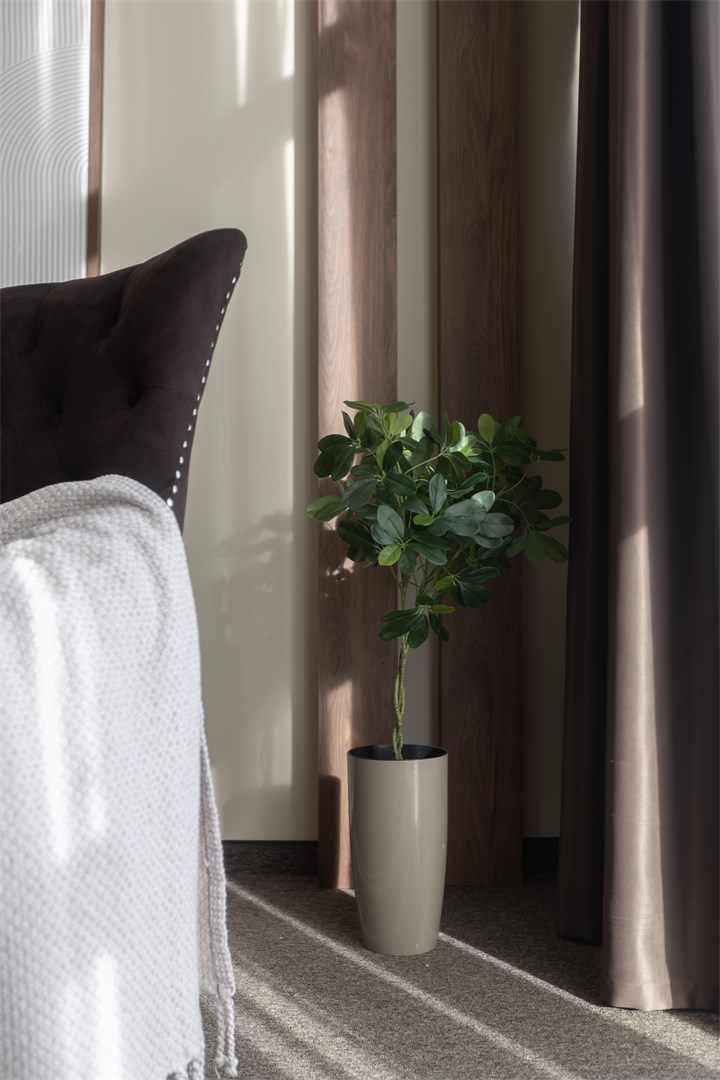 Апарт-отель Аркадия  пгт Красная Поляна