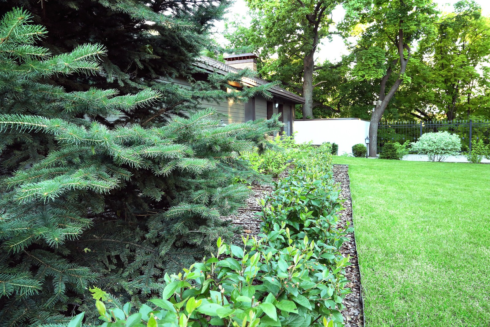 Обложка проекта: Голландский стиль