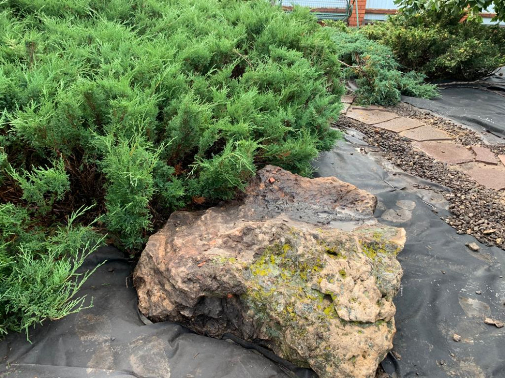 Проект "Параллели"