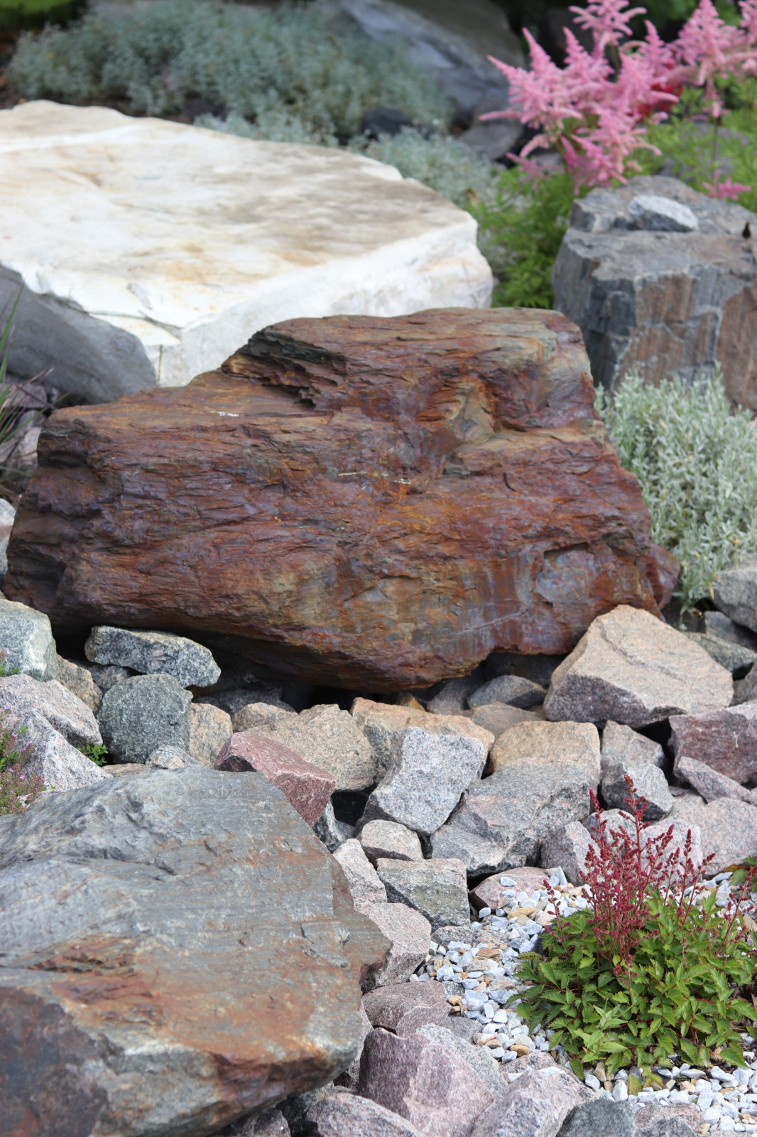 WB Берег пруда (май,июнь)