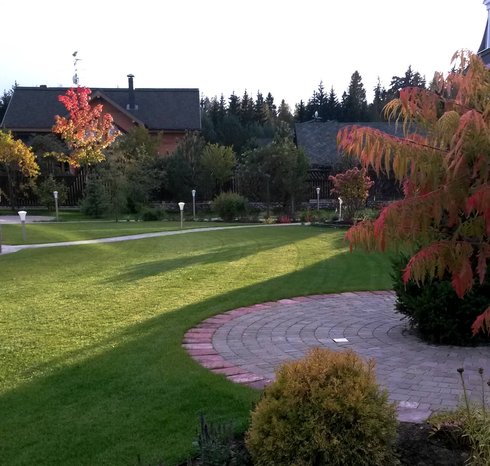 Обложка проекта: Краски осени в коттеджном саду.