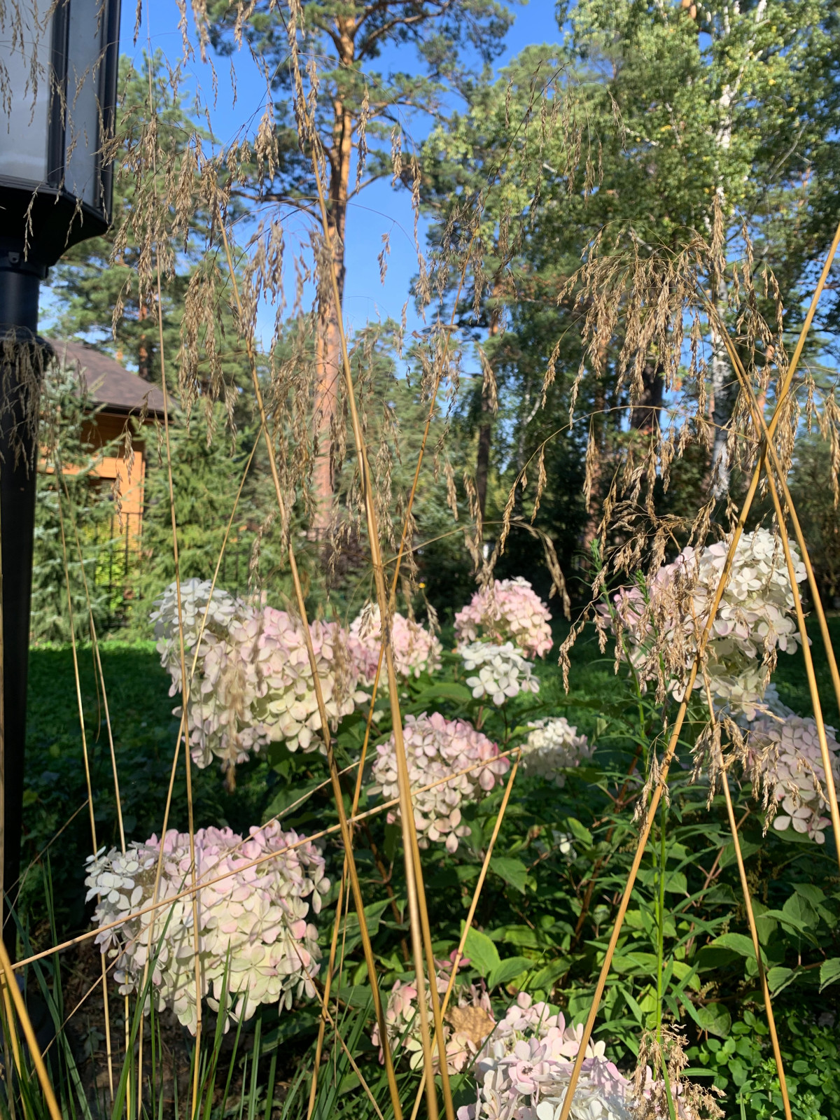 Таргайские усадьбы