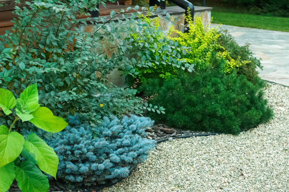 Малоуходный сад