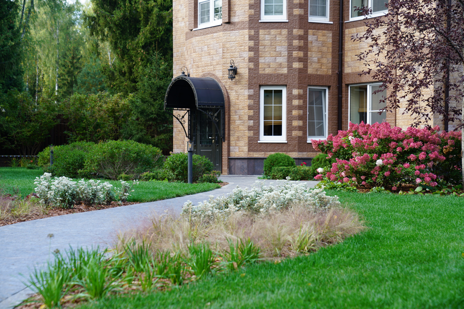 Круговорот  цвета. Дубровка 2021