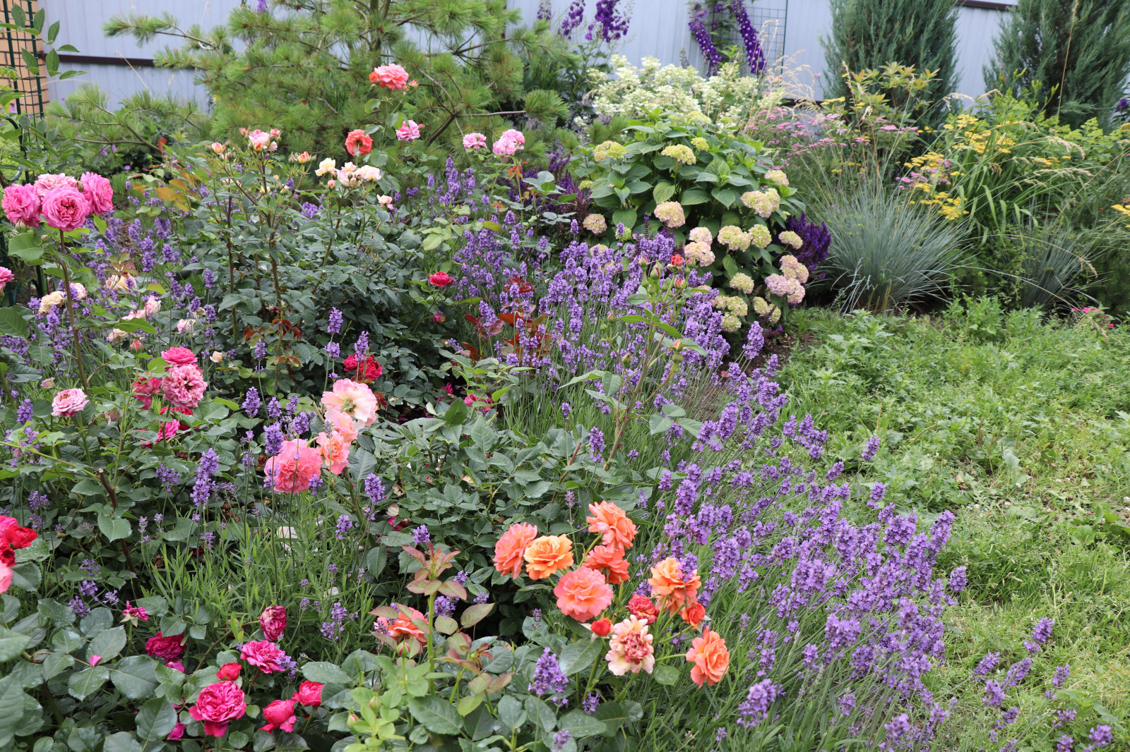 Цветущий сад