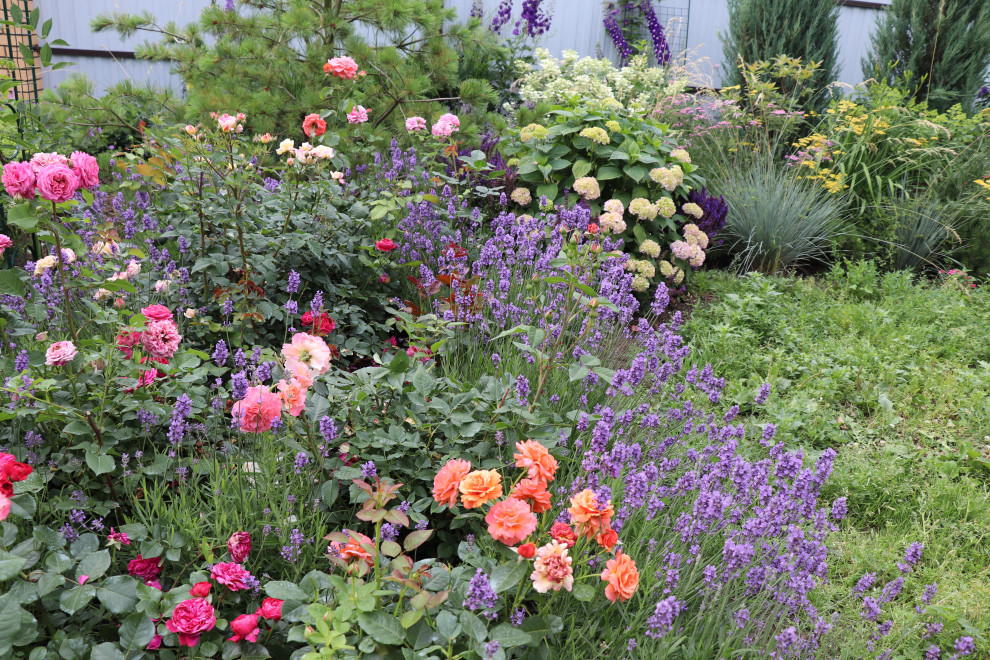 Цветущий сад