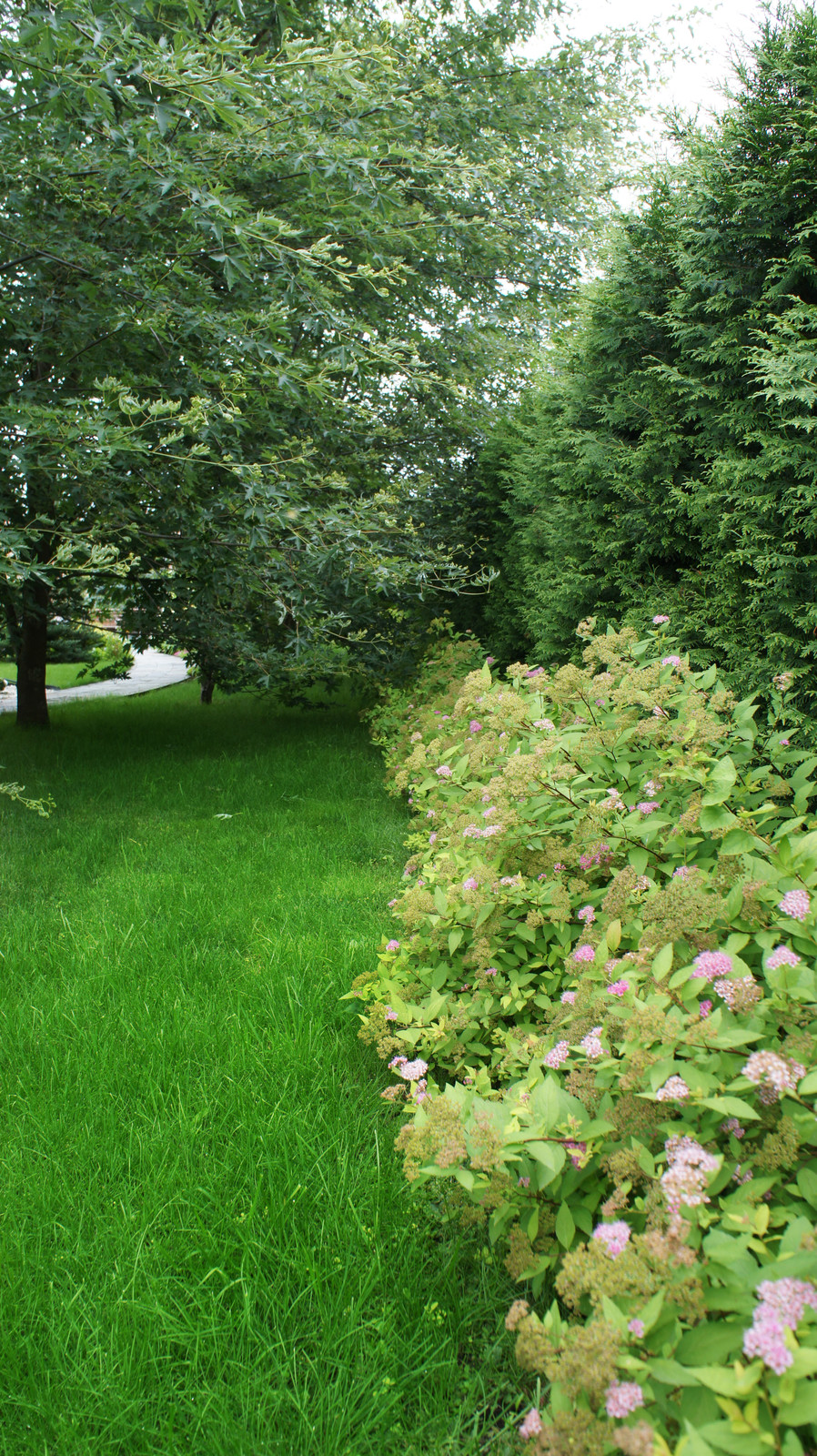 Участок 30 соток