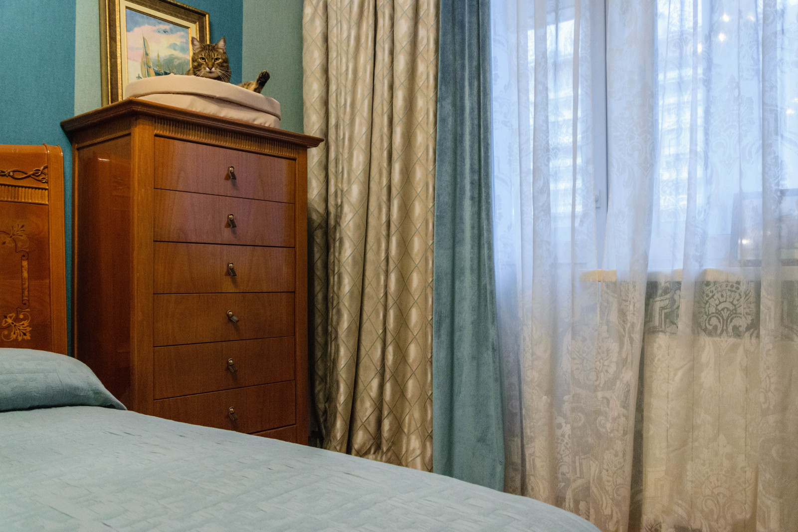 Сад-фантазия для кошки