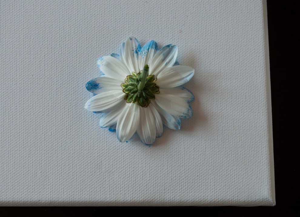 DIY: Рисуем картины бутонами цветов