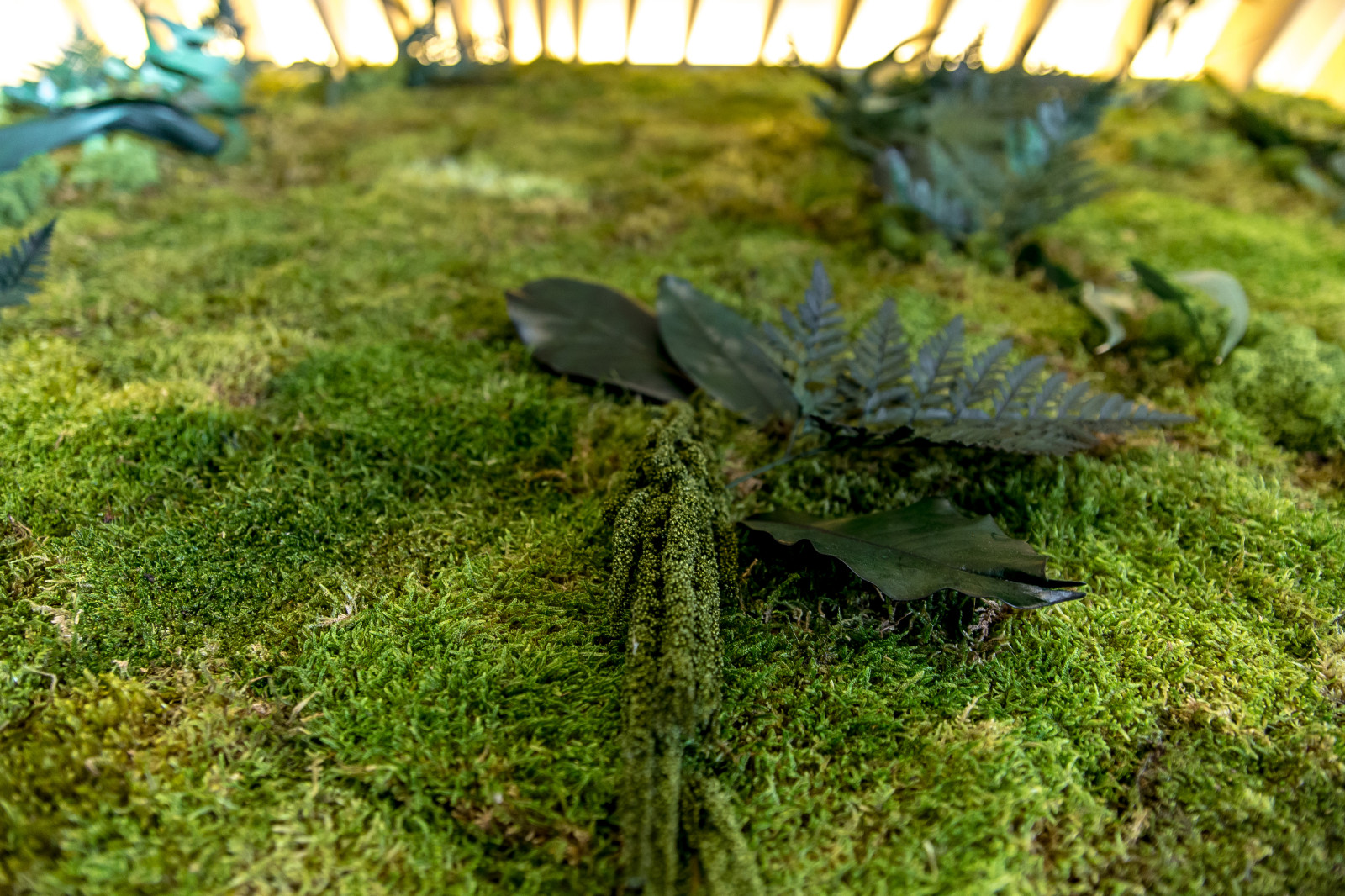 Гостиная для ТВ-проекта "Дачный ответ"