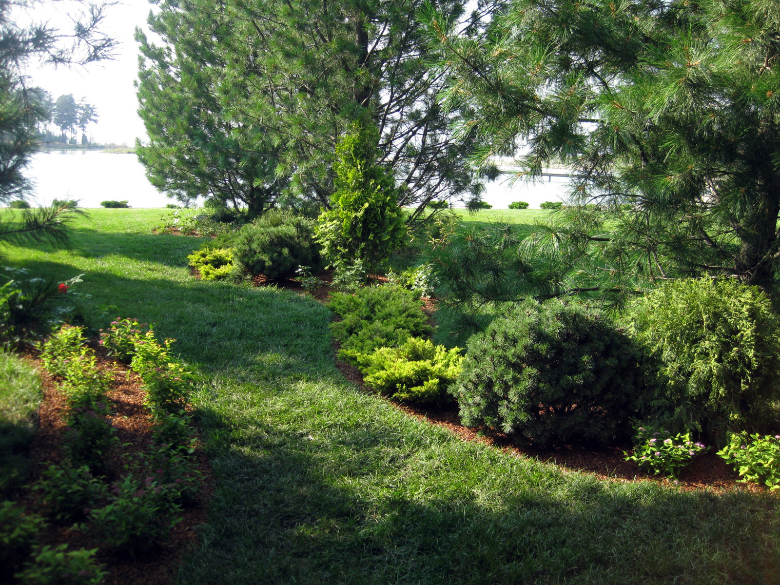 Обложка проекта: Декоративные посадки