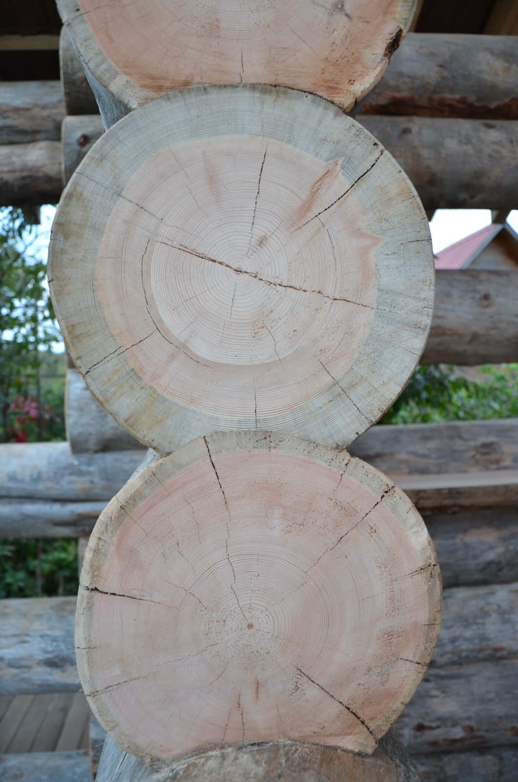 Избушка на опушке