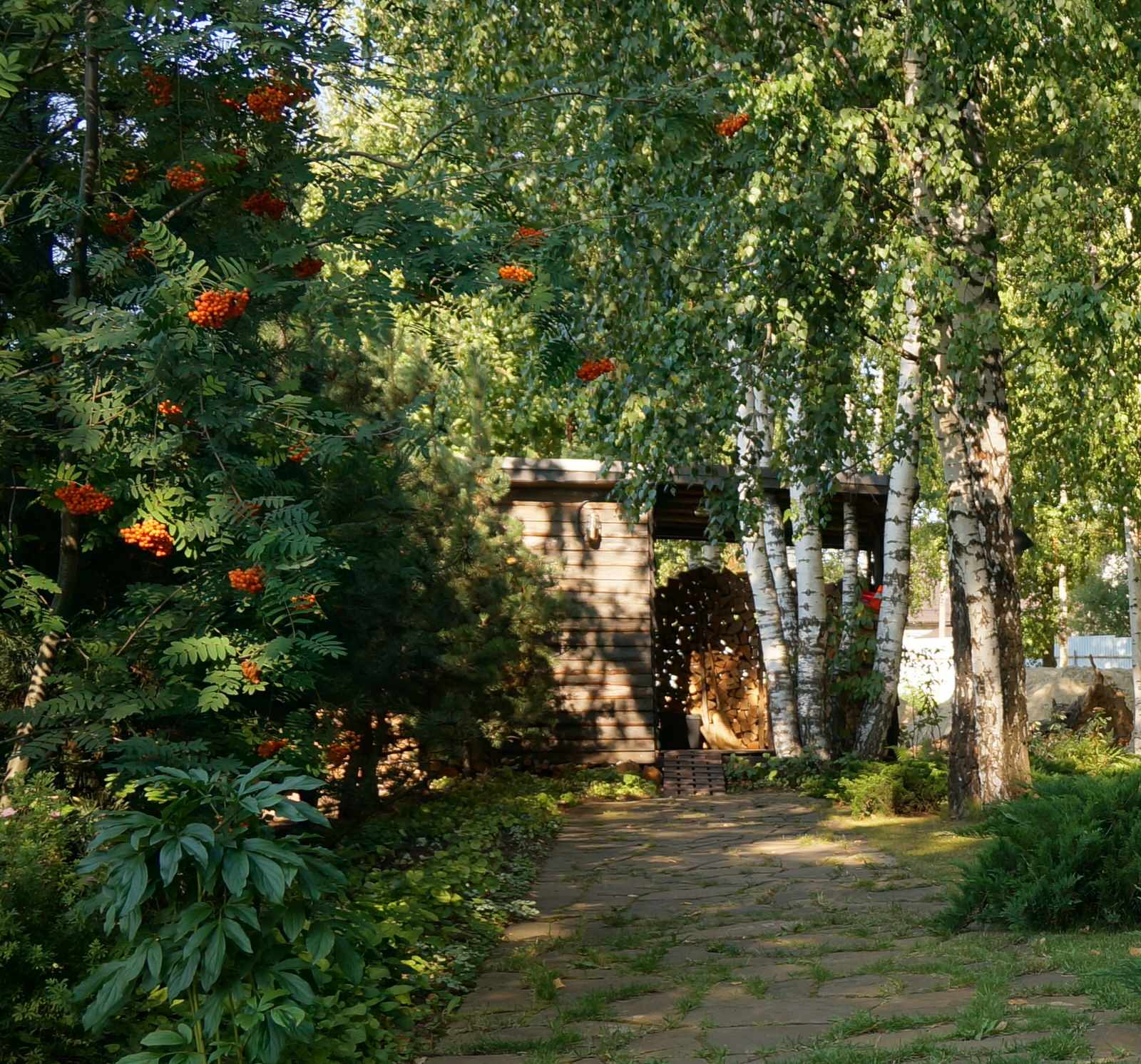 "Березовая роща". Сад в Чеховском районе Московской области, 10 соток.