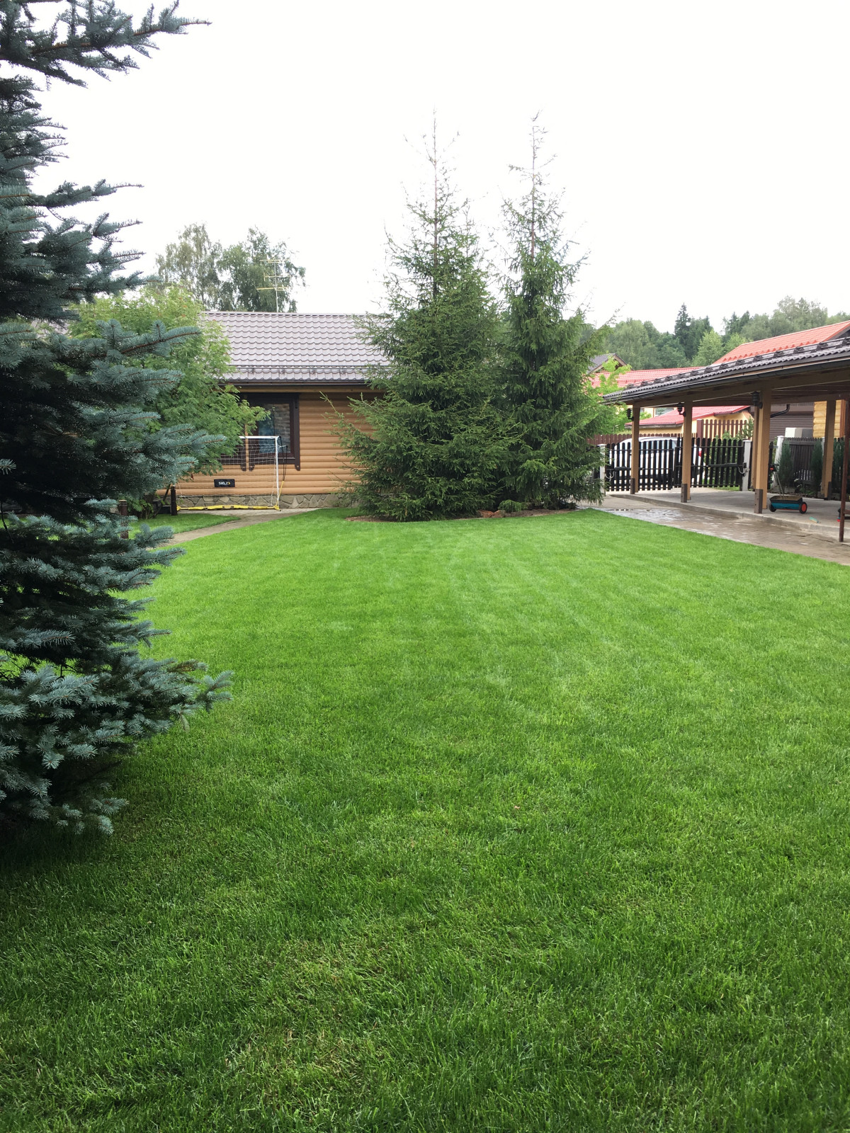 Сад на Новой Риге