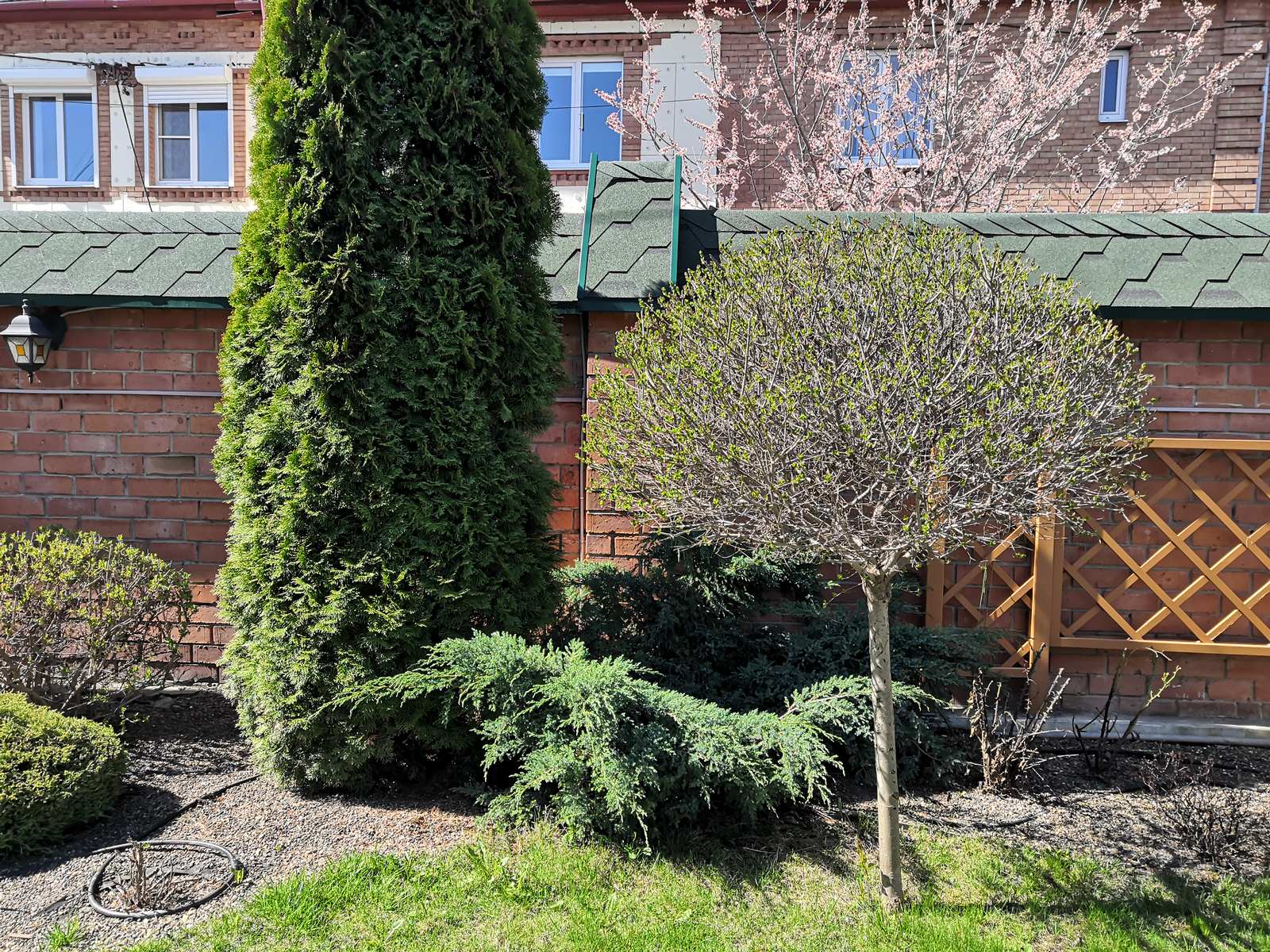 Дворик с поилкой для птиц