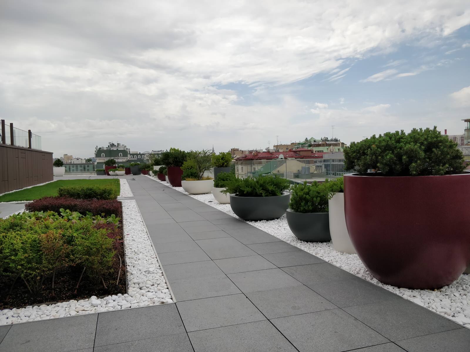 Озеленение крыши в центре Москвы