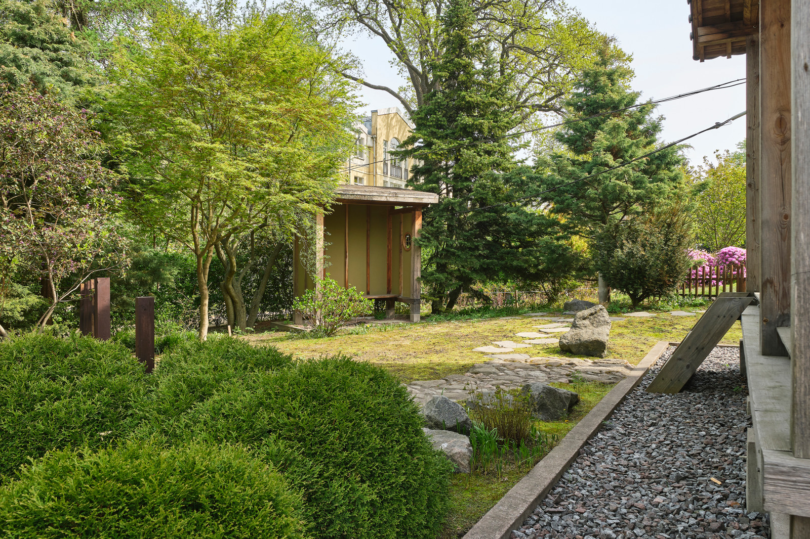 Японский сад в Ботаническом саду БИН РАН, СПб, Петроградка