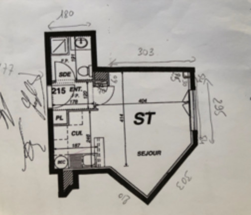 До и после: Французская студия 20 кв.м для девушки и кошки