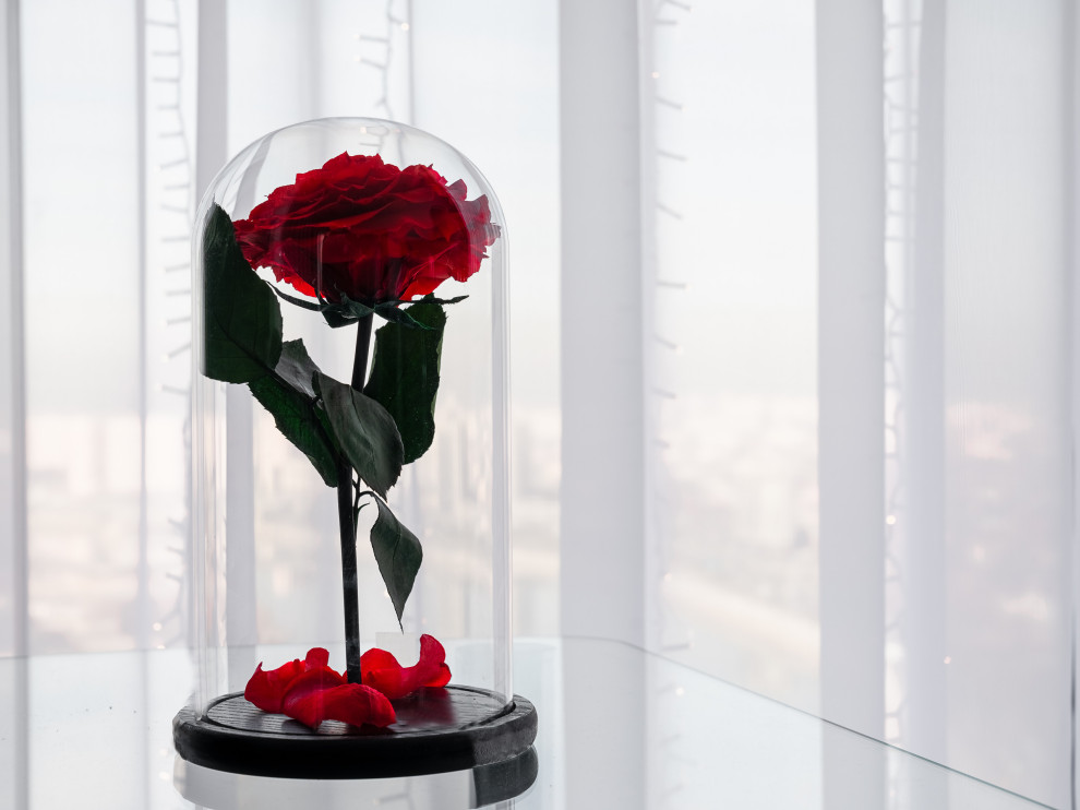 Интерьерная фотосъёмка квартиры в Краснодаре :: 21 декабря 2019