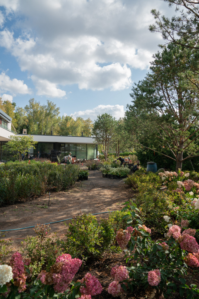 Антоновка. 30 соток. 2023 г.