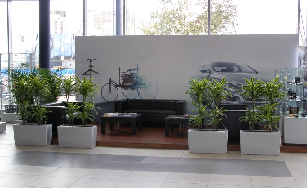 Обложка проекта: Зона отдыха в автосалоне Мерседес