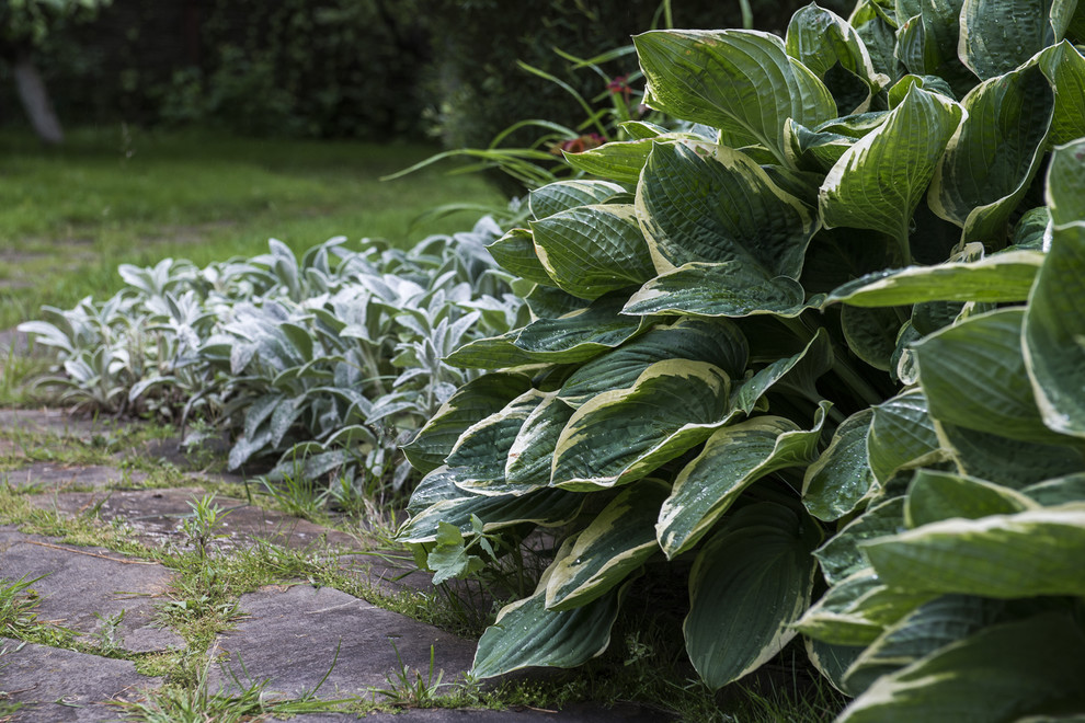В гостях: Сад в идеальной форме... круга