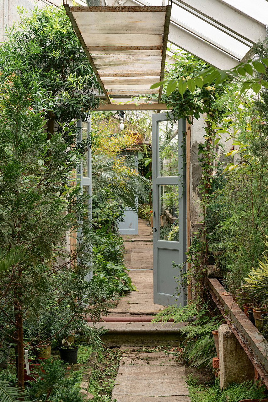 Ботанический сад в сердце Петербурга