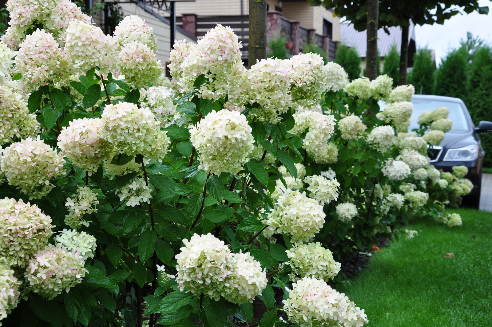 кп "Мелоди" - Уход за садом - 100% качество