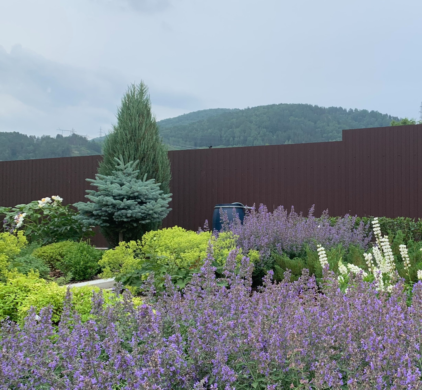 Реализованные проекты