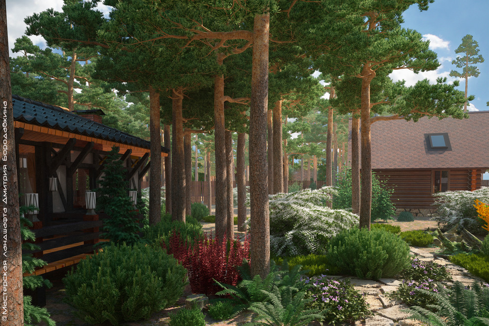 Утро в сосновом лесу