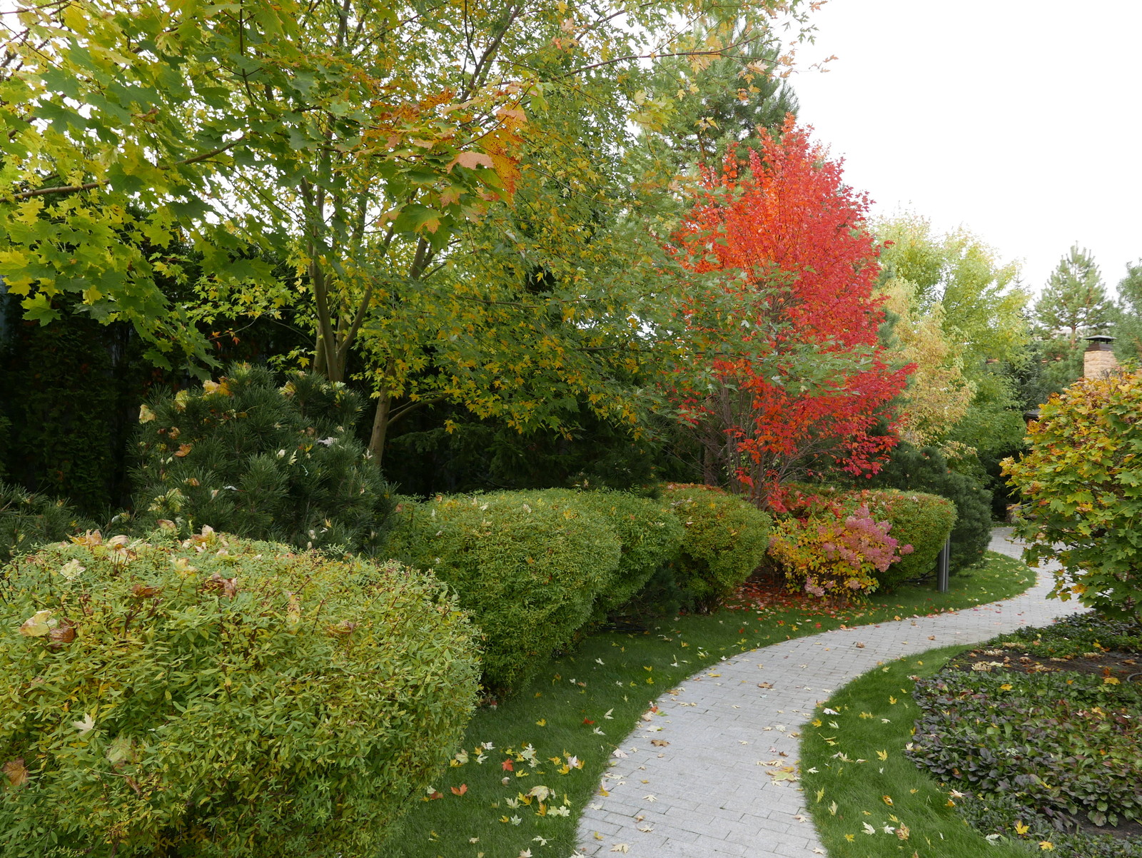 Современный взгляд на классику