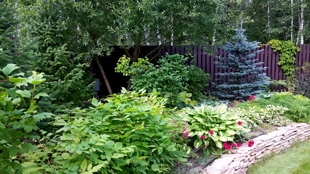 Древесно-кустарниковая композиция одностороннего обзора