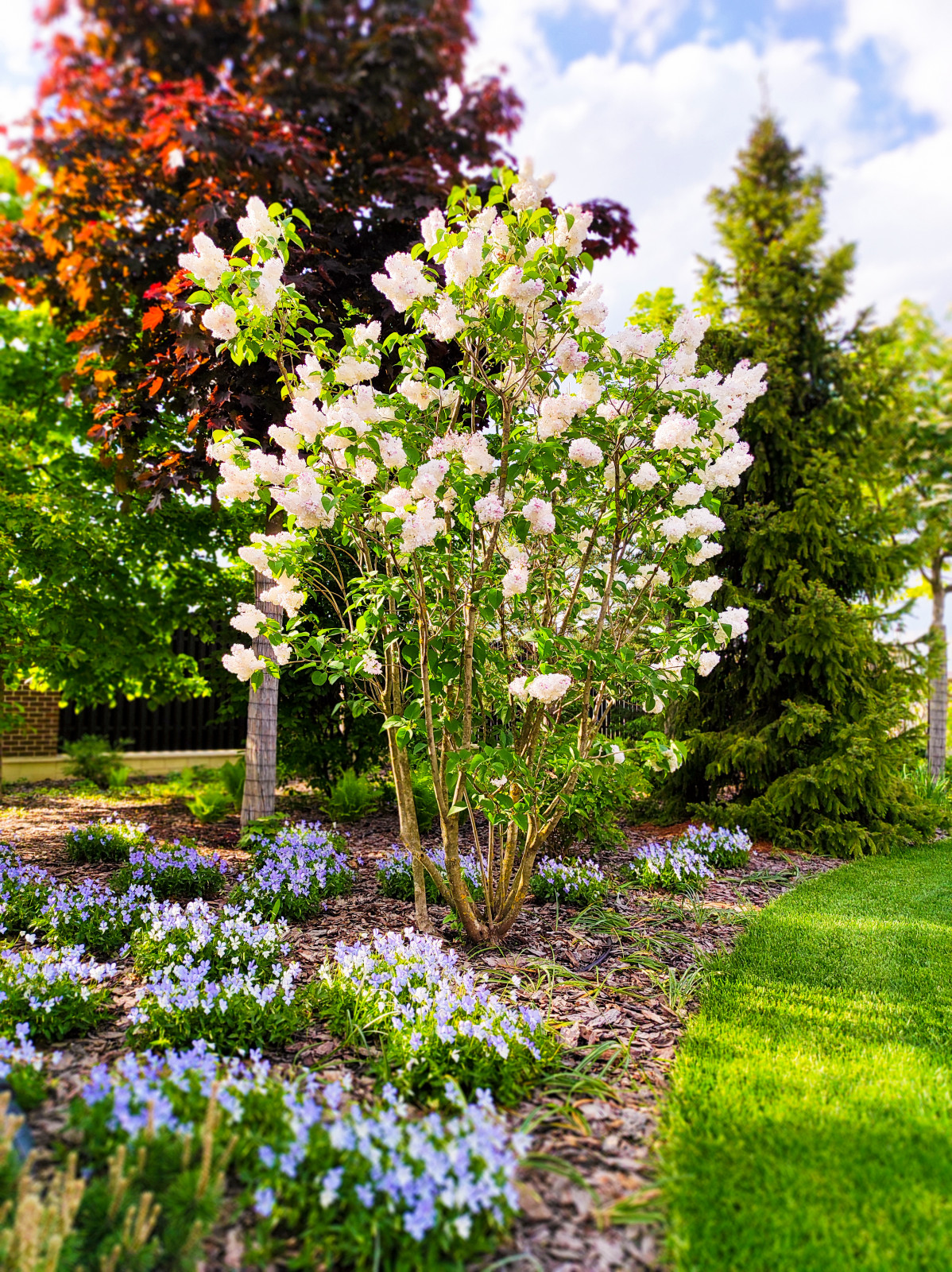 Горки-10, 2017-2020 г.г.