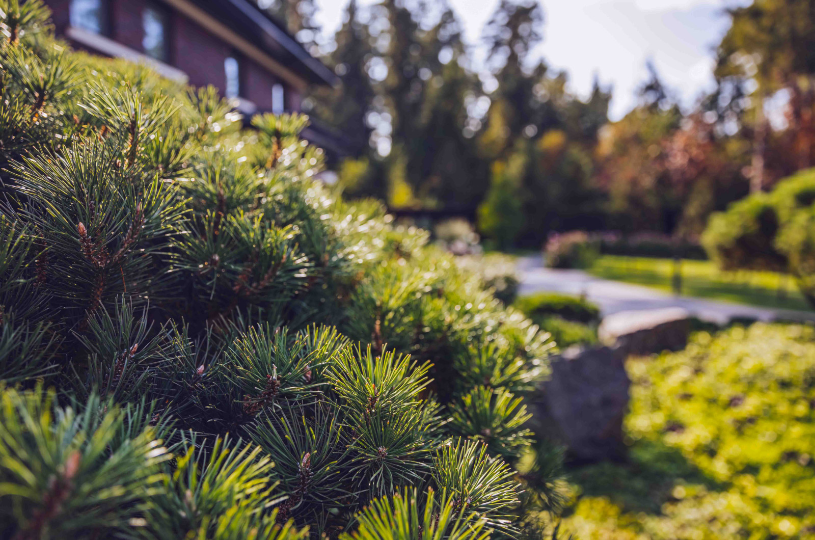 Архитектурное Решение в Пейзажном Стиле