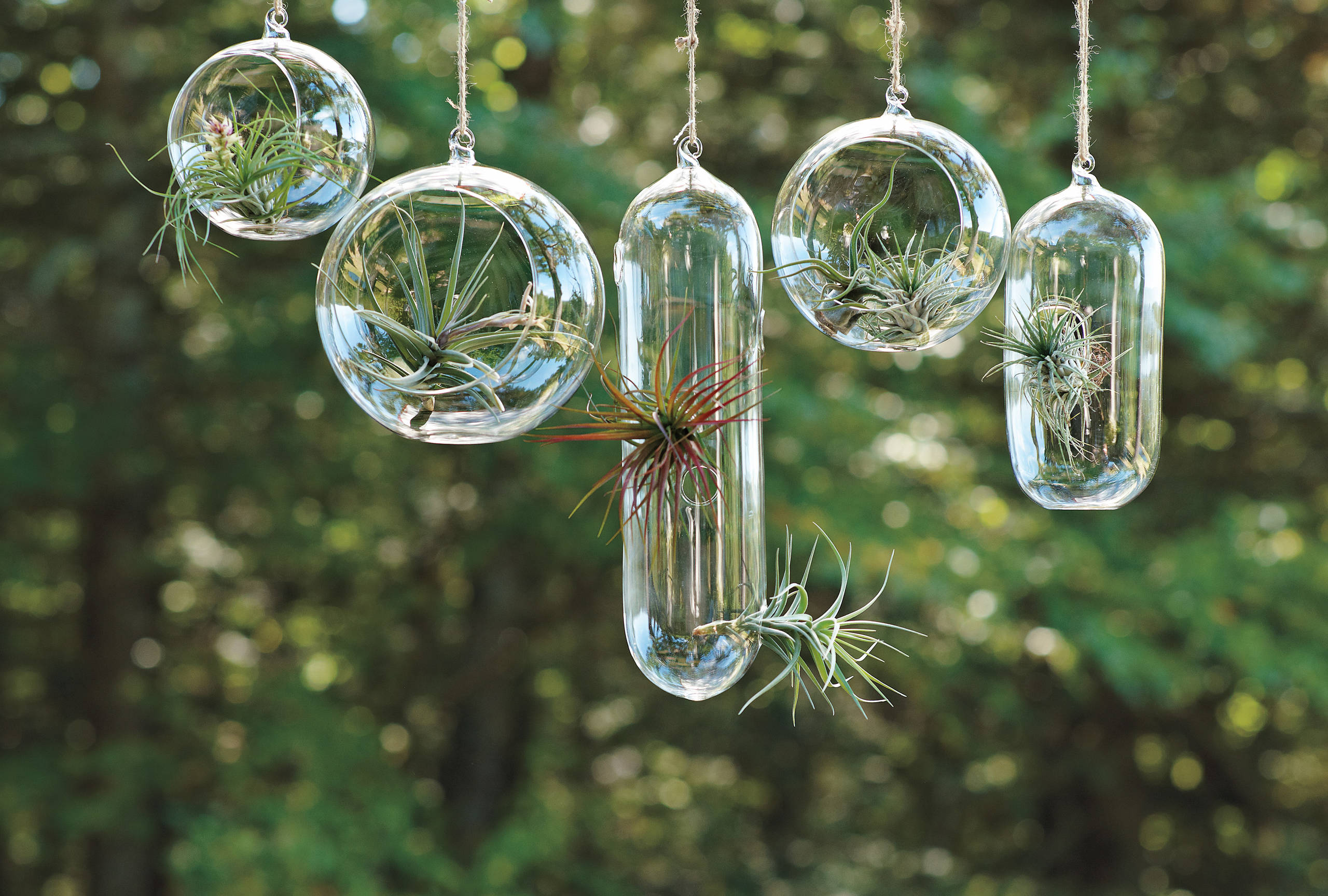 Цветы на подоконнике: 12 идей, как расставить их по правилам декора