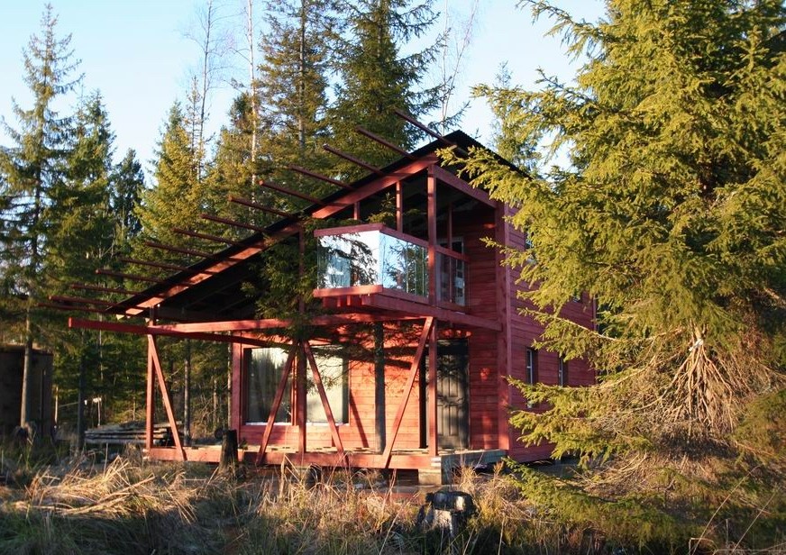 Дом с ёлкой 45 кв.м.