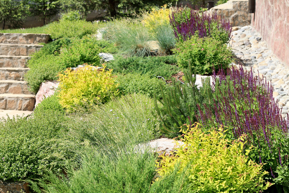 Сад Кандинский