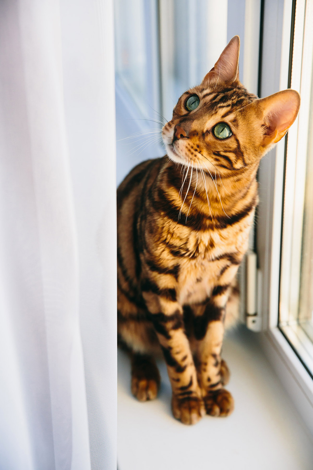 Реализация: мебель для двух детских