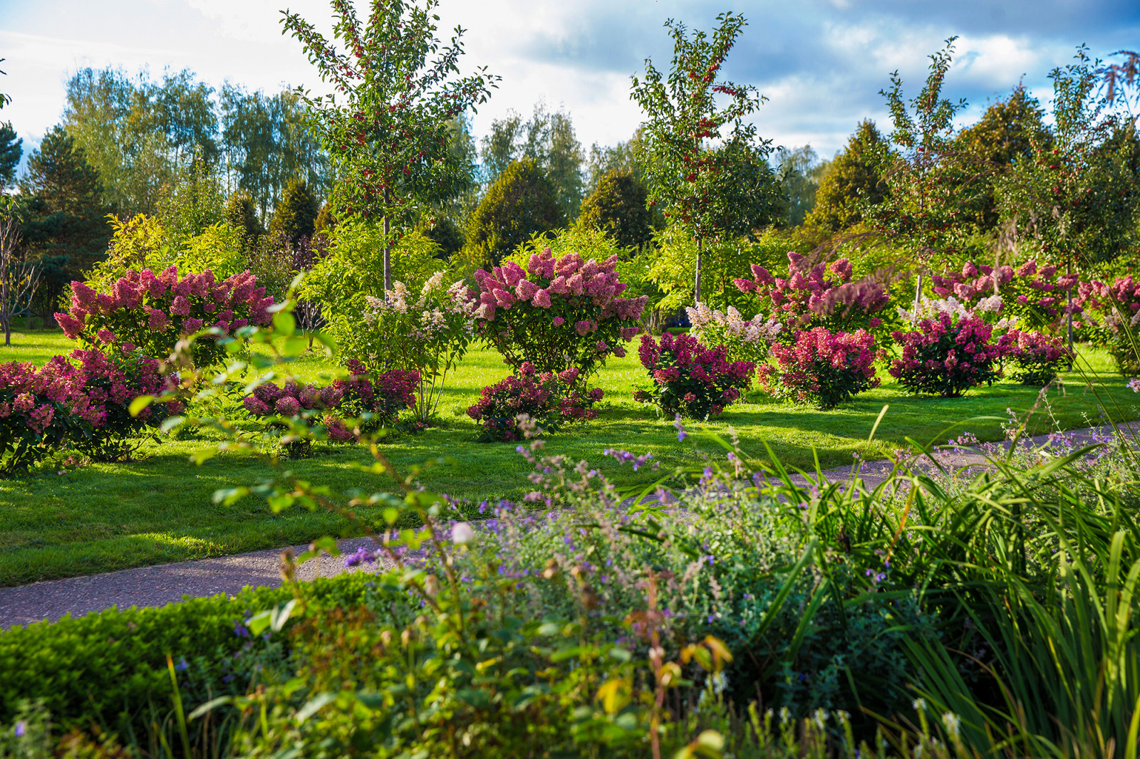 Парк в  Шаховском районе