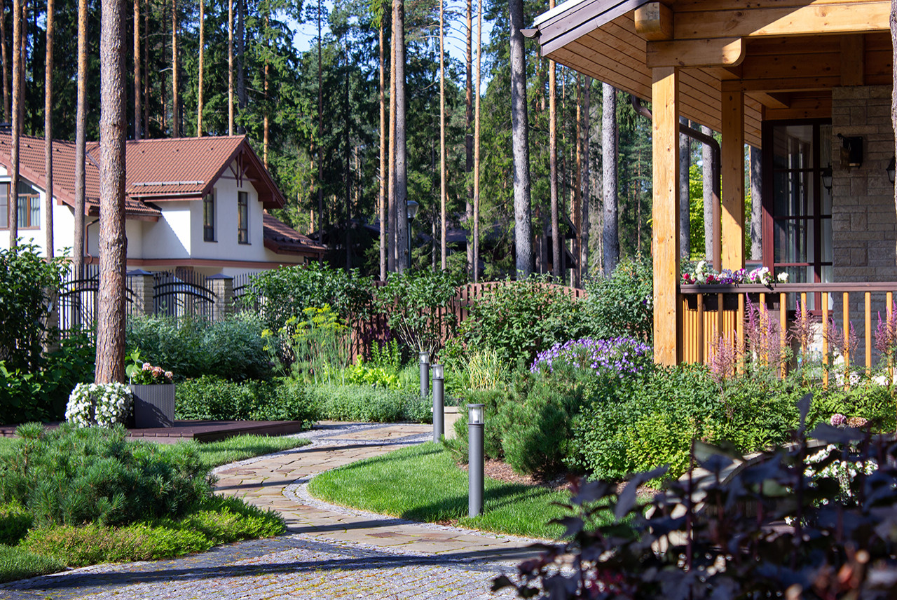 Еловая аллея