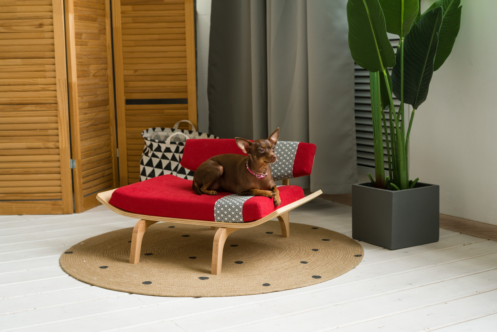 Дизайнерская мебель для собак и кошек