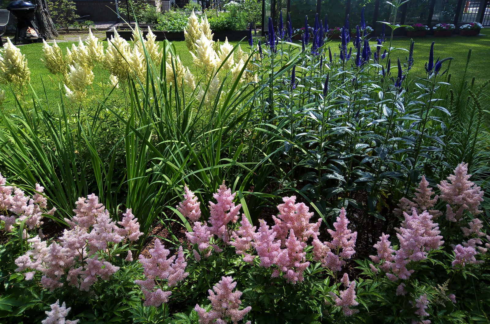 Цветники под пологом леса