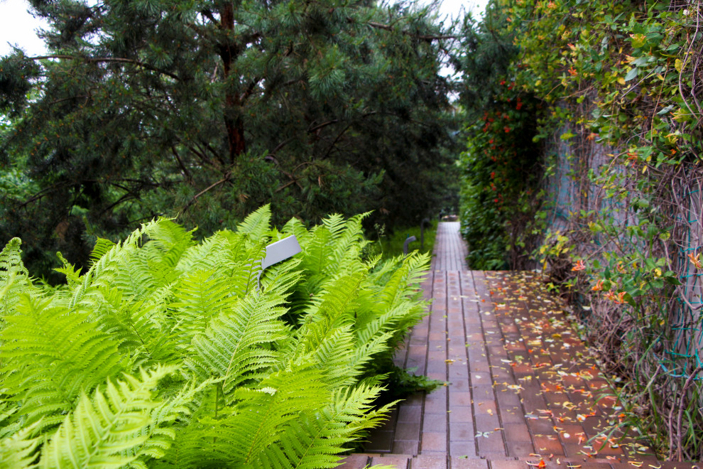 Лобаново, 2012-2021 гг.